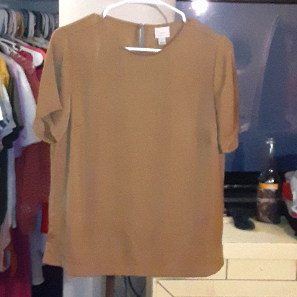 Brown Satin Top